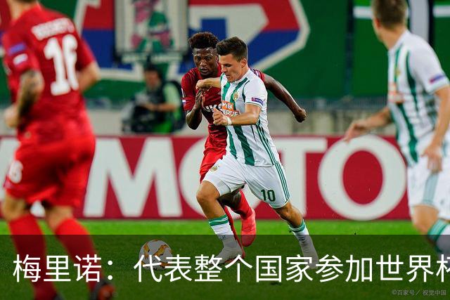 梅里诺：代表整个国家参加世界杯是一种荣耀，这真的是梦想成真
